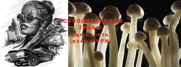 2c-b Абдулино
