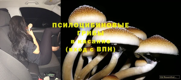 тгк Кодинск