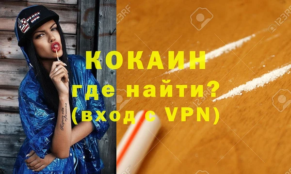 стаф Алзамай