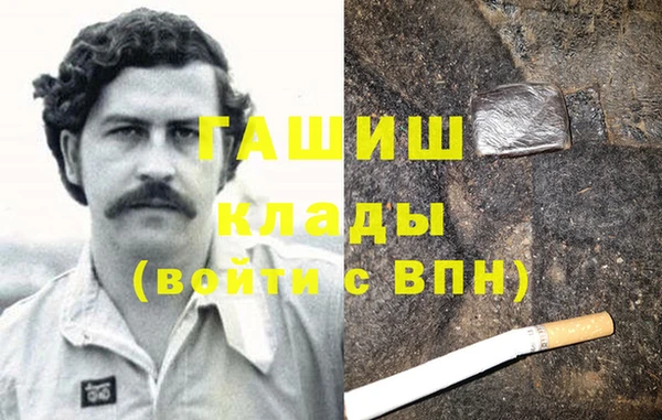 стаф Алзамай