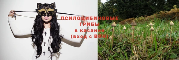 хмурый Алексин