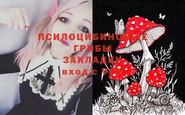 стаф Алзамай