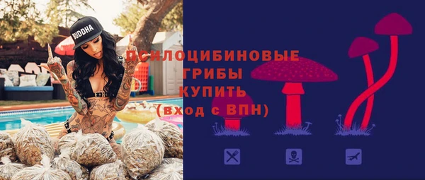 хмурый Алексин
